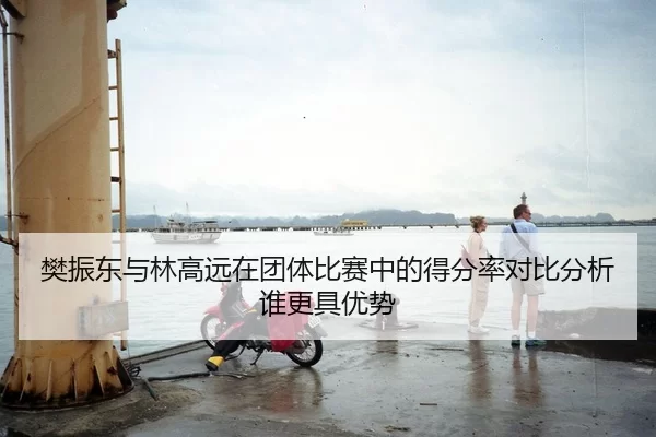 樊振东与林高远在团体比赛中的得分率对比分析谁更具优势