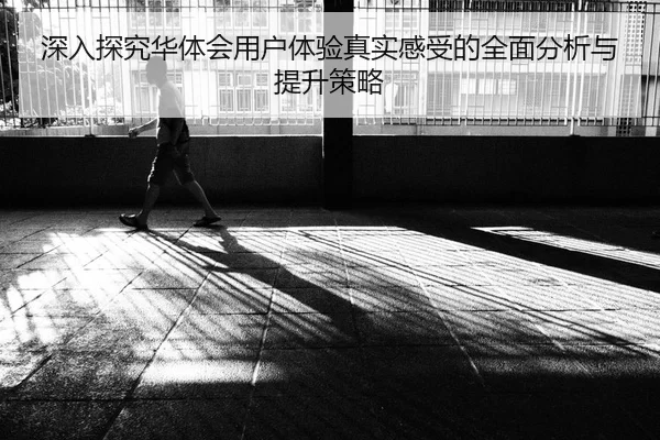 深入探究华体会用户体验真实感受的全面分析与提升策略