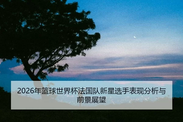 nian-lan-qiu-shi-jie-bei-fa-guo-dui-xin-xing-xuan-shou-biao-xian-fen-xi-yu-qian-jing-zhan-wang-2-785.jpg