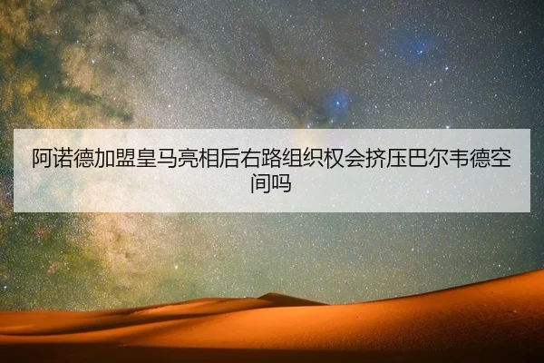 a-nuo-de-jia-meng-huang-ma-liang-xiang-hou-you-lu-zu-zhi-quan-hui-ji-ya-ba-er-wei-de-kong-jian-ma-2-980.jpg