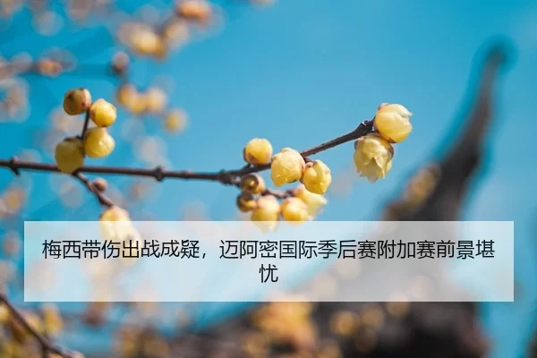 梅西带伤出战成疑，迈阿密国际季后赛附加赛前景堪忧